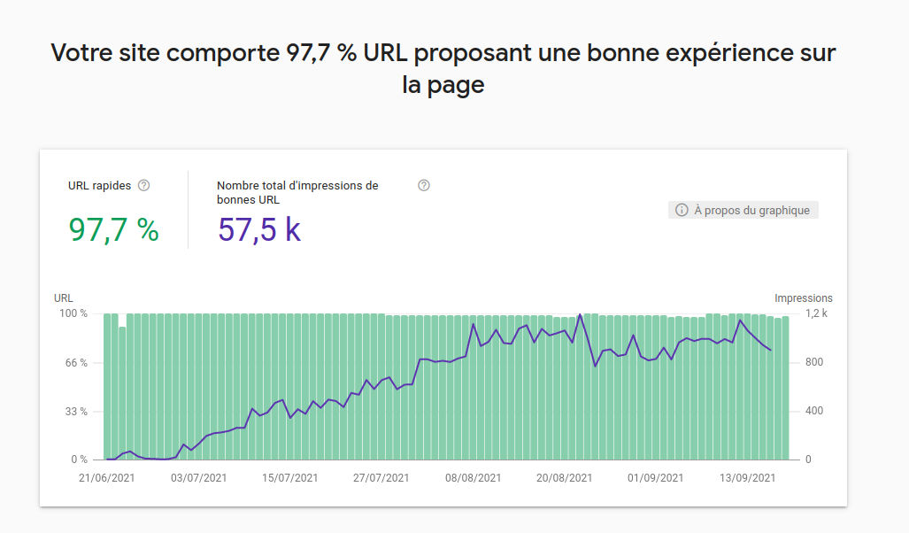 Expérience page search console