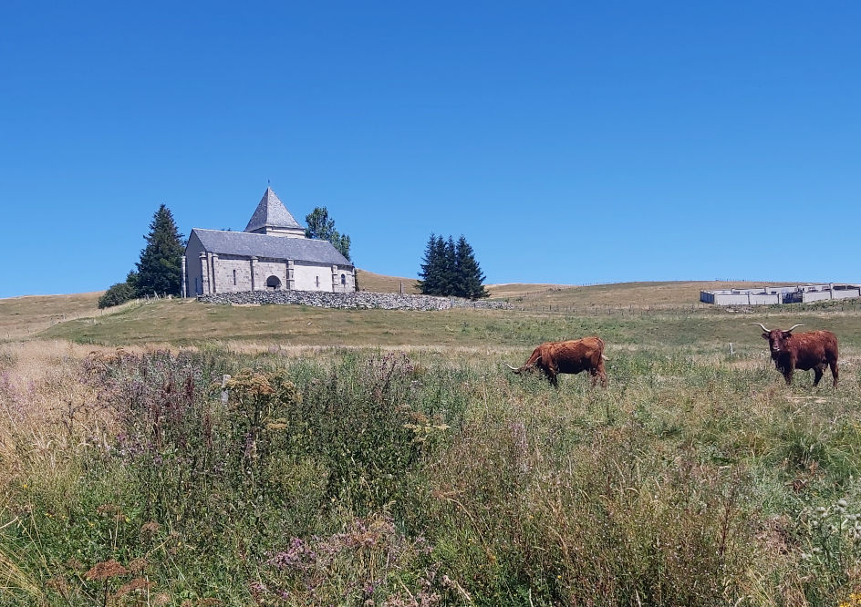 Eglise Saint Alyre Es Montagne