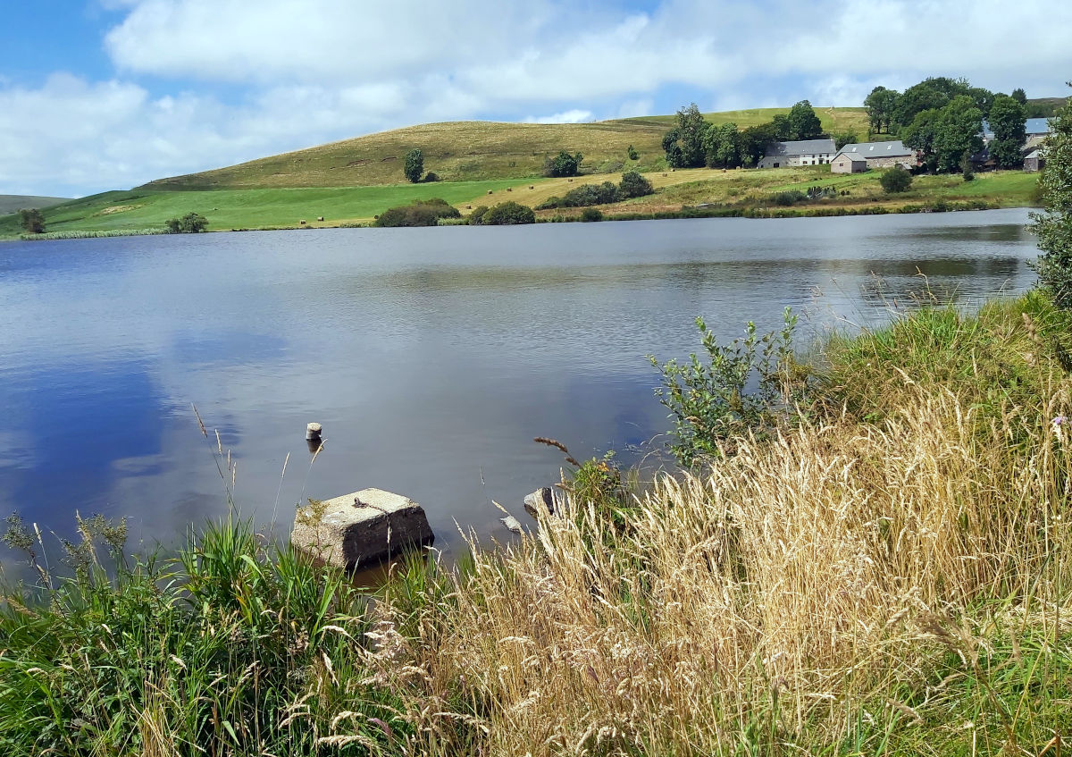 L. Bello Lac d'en Bas, la Godivelle