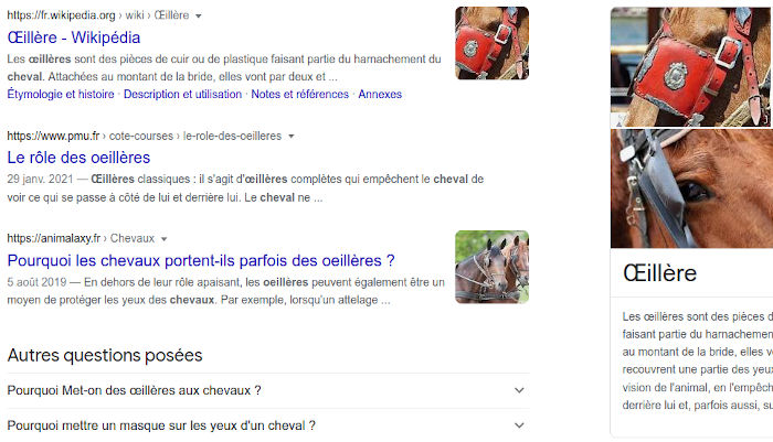 Exemple de SERP complexe